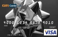 $100 Visa Gift Card - Shipped